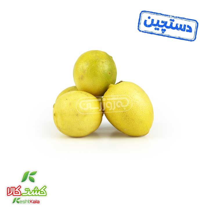 لیمو شیرین دستچین کشت کالا
