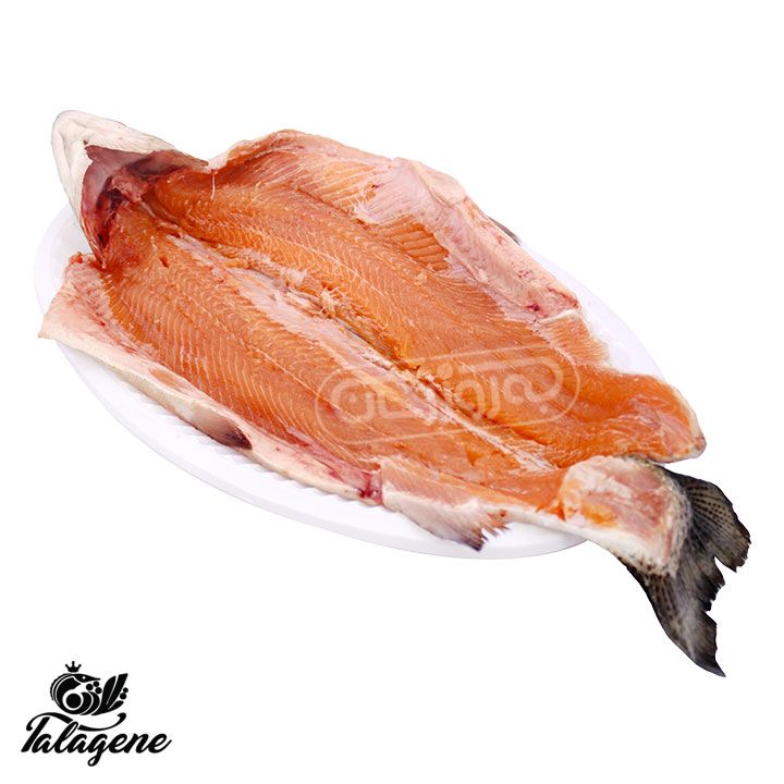 ماهی قزل آلا سالمون با سر بی استخوان تلاژن