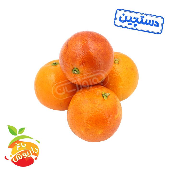 پرتقال خونی دستچین باغ داریوش 