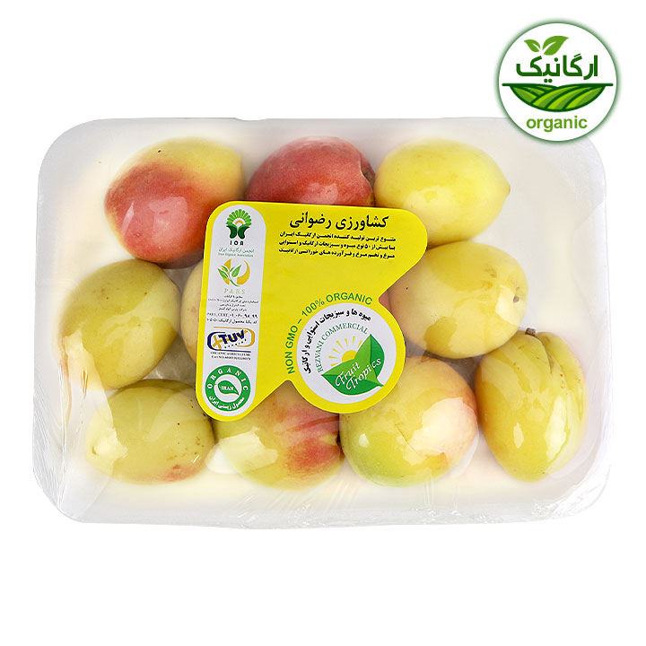 زرد آلو کشاورزی رضوانی 500 گرمی