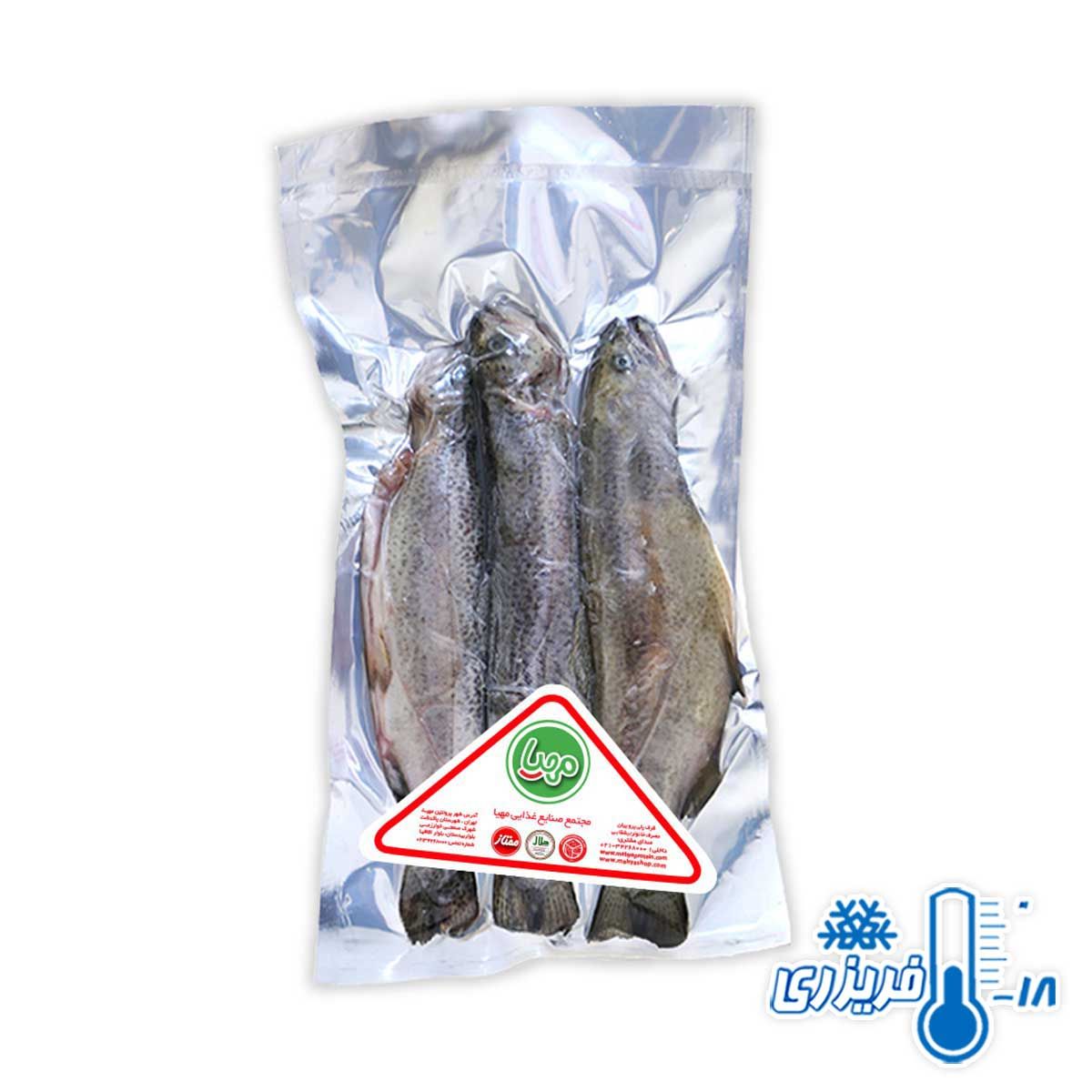 ماهی قزل آلا شکم خالی منجمد مهیا پروتئین 1 کیلوگرمی