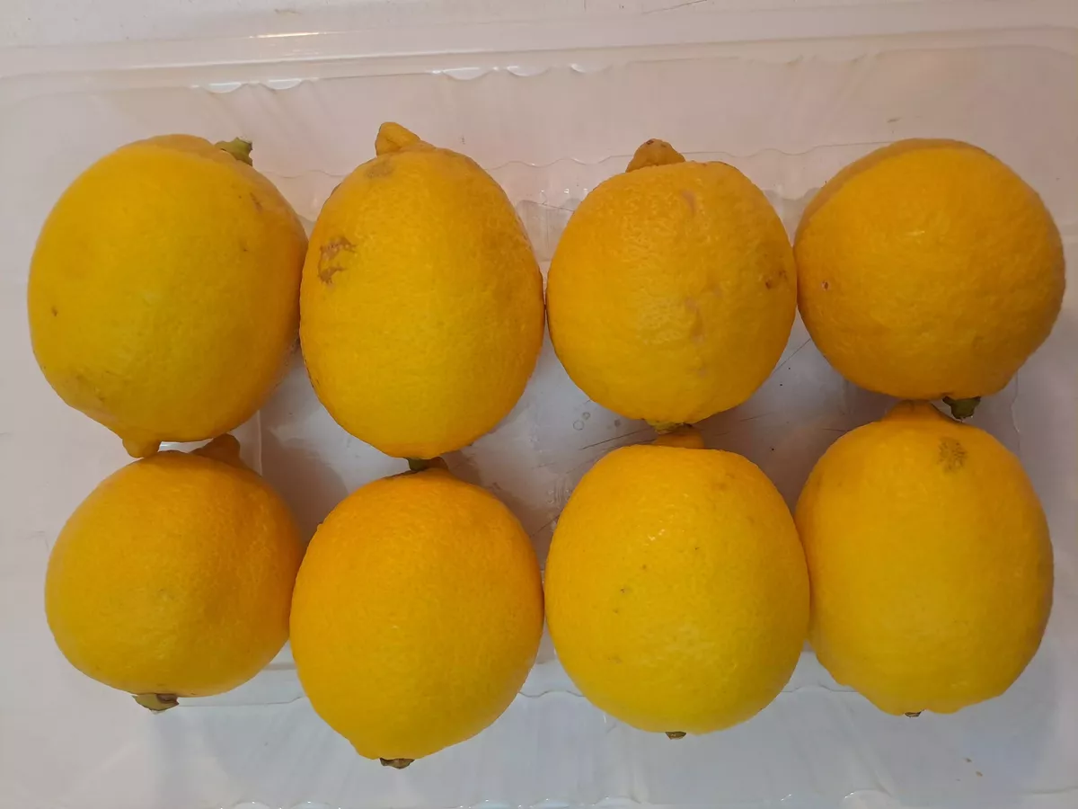 لیمو ترش سنگی دستچین کشت کالا 500 گرمی