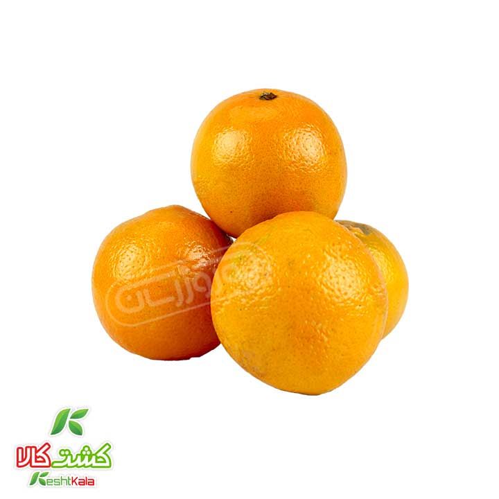 پرتقال کشت کالا