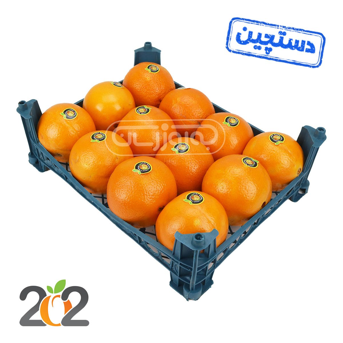 پرتقال تامسون شمال دستچین سبدی برند 202 حدود 2.5 تا 3.5 کیلوگرم