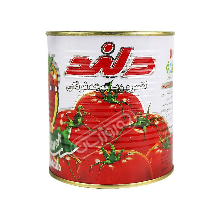 رب گوجه فرنگی دلند 800 گرمی
