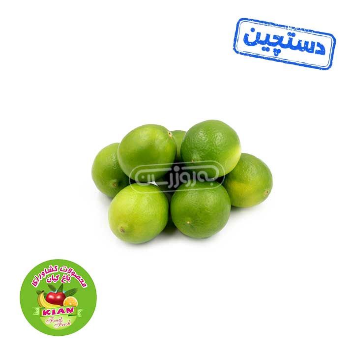 لیمو ترش شیرازی دستچین باغ کیان