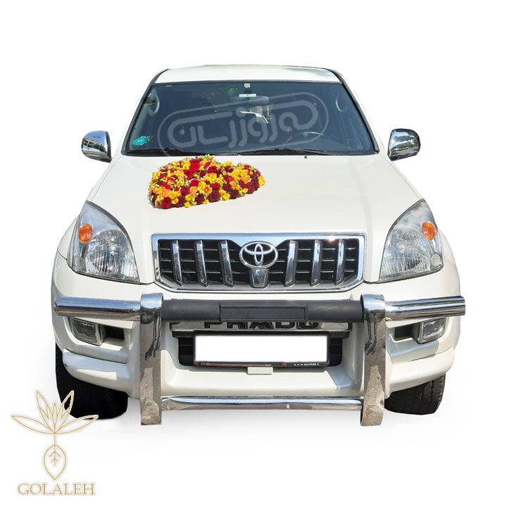 ماشین عروس گلاله شماره 6 