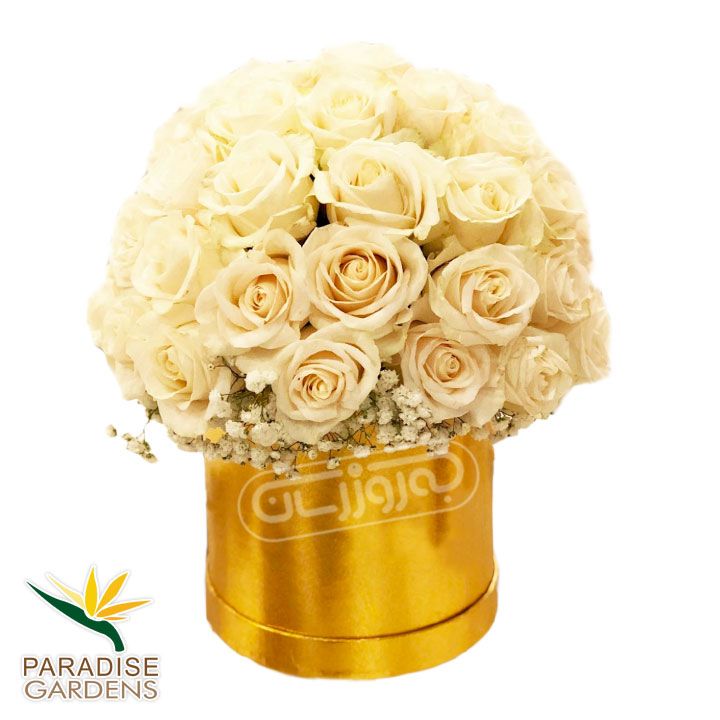 باکس گل رز هلندی با تزیین گل عروس پارادایس 40 شاخه ای 