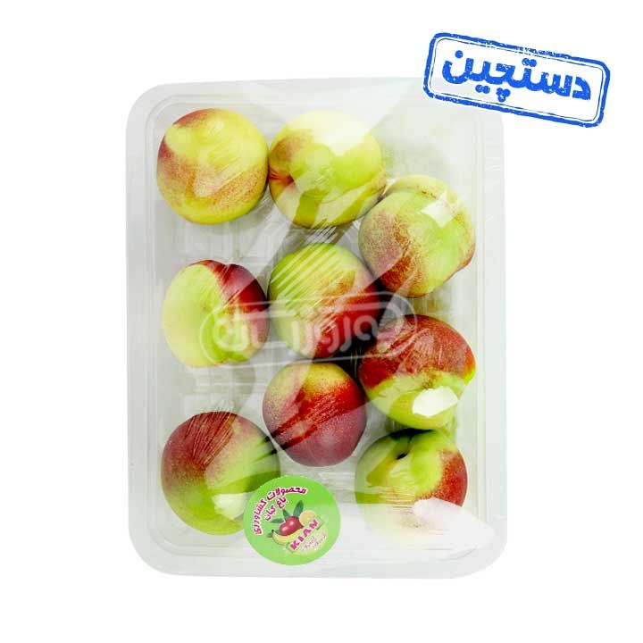 شلیل شمس دستچین باغ کیان