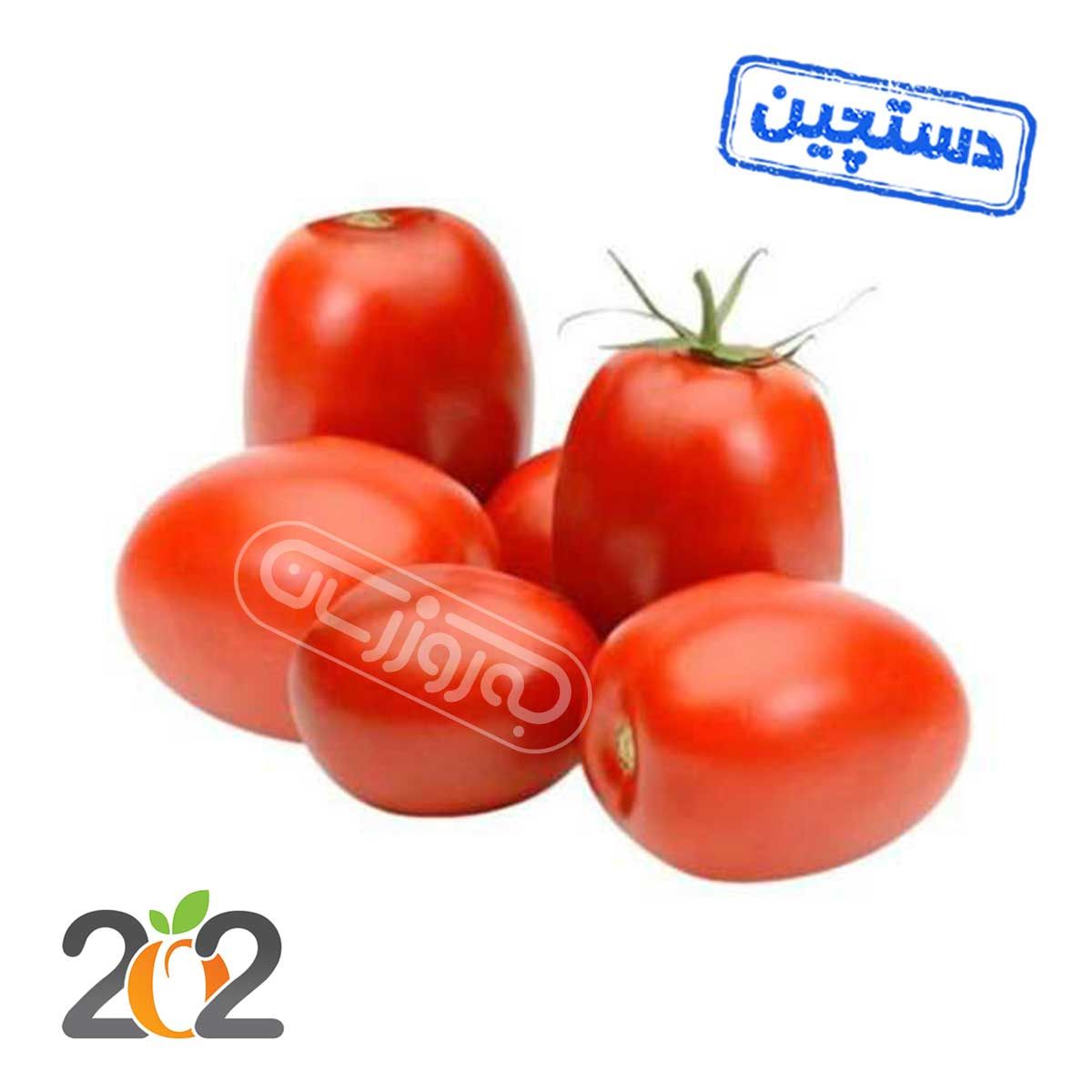 گوجه فرنگی دستچین برند 202