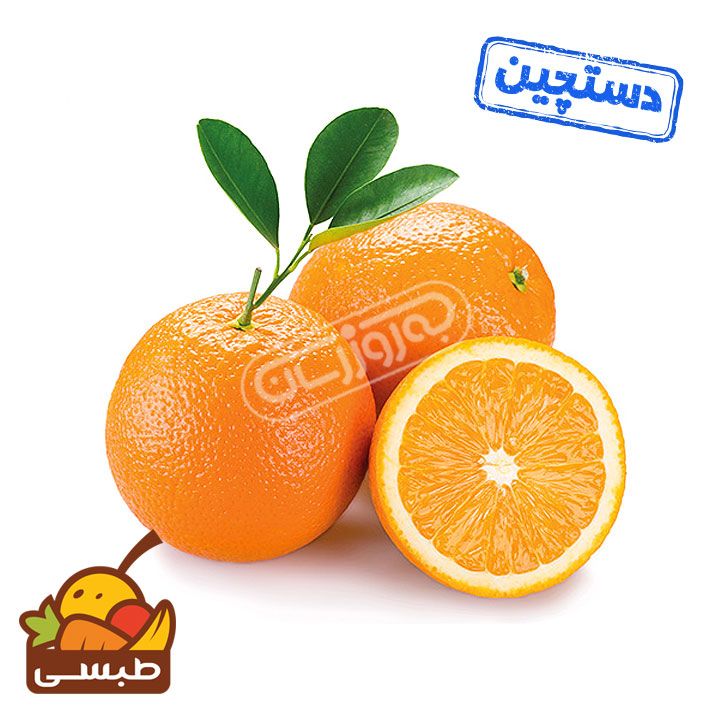 پرتقال تامسون جنوب دستچین طبسی