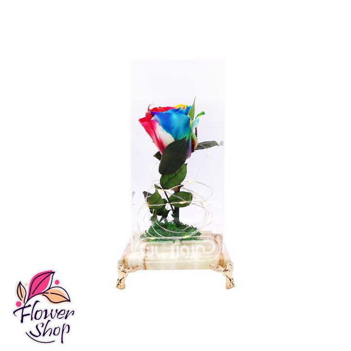 گل رز جاودان هفت رنگ به همراه ساقه و خزه فلاور شاپ تک شاخه ای