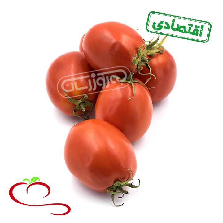 گوجه فرنگی اقتصادی مزرعه ارگانیک