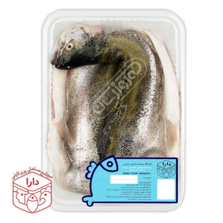 ماهی قزل آلا شکم خالی و بدون تیغ فروشگاه دارا پروتئین
