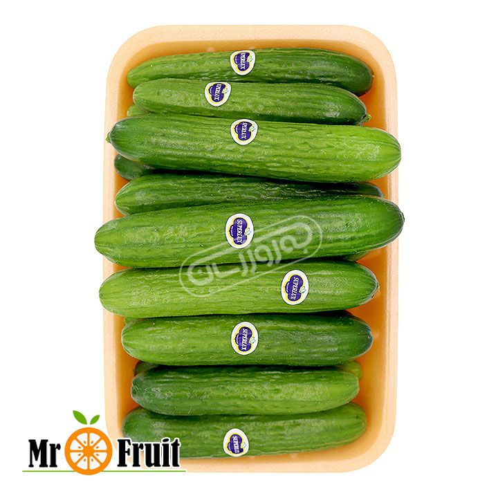 خیار گلخانه ای دستچین Mr.Fruit وزن 1 کیلوگرمی