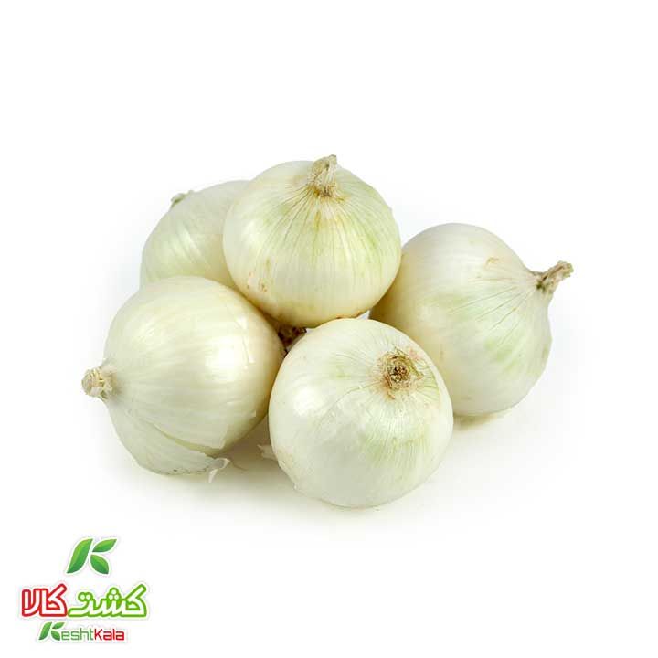 پیاز سفید ریز کشت کالا
