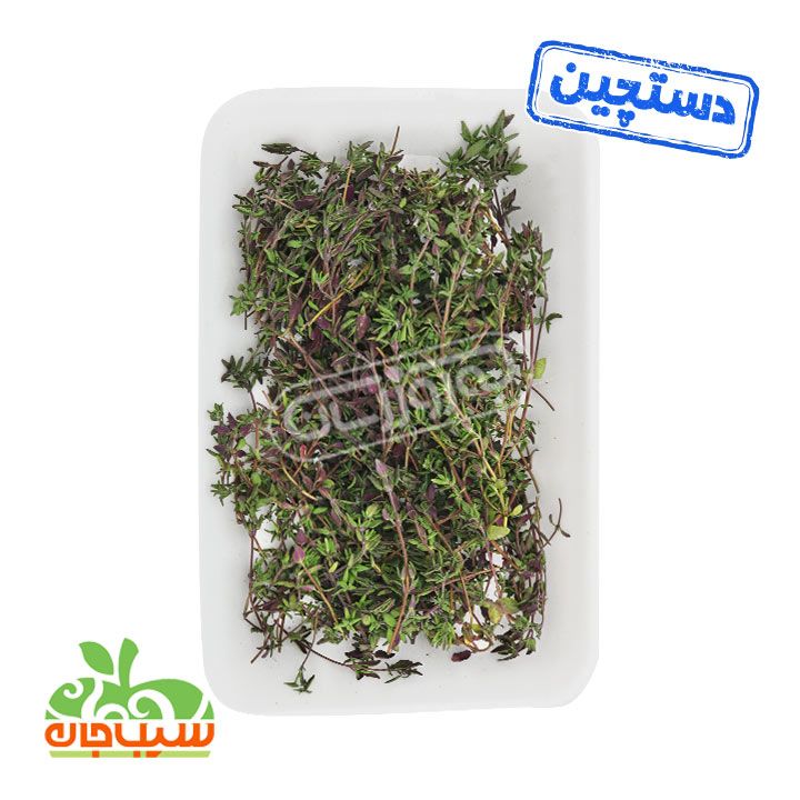 آویشن اروپایی دستچین سیب جان 100 گرمی