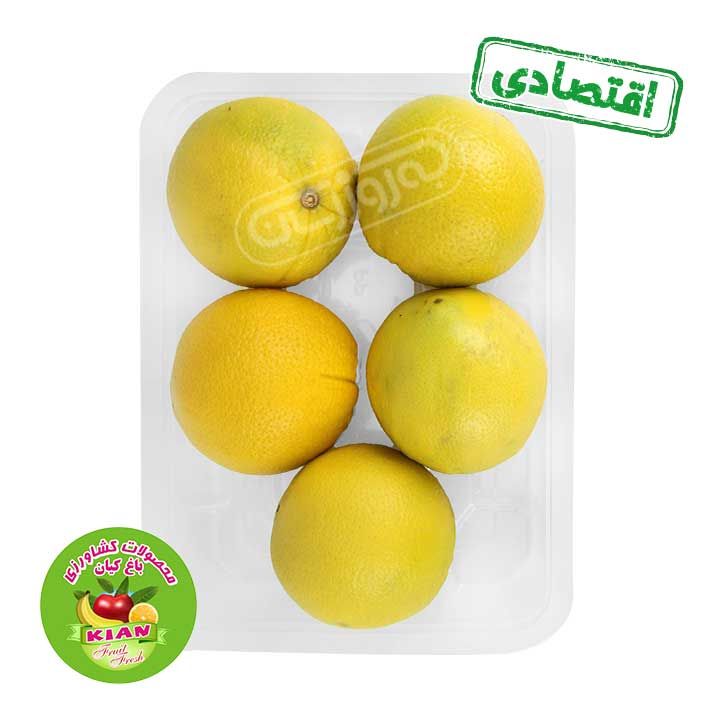 پرتقال اقتصادی باغ کیان