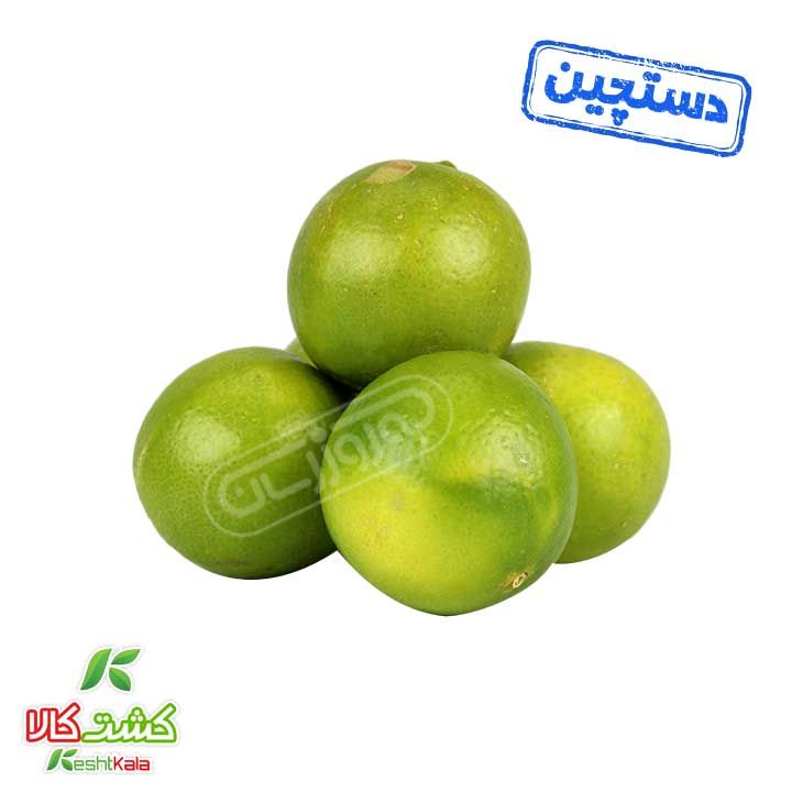 لیمو شیرین سبز دستچین کشت کالا