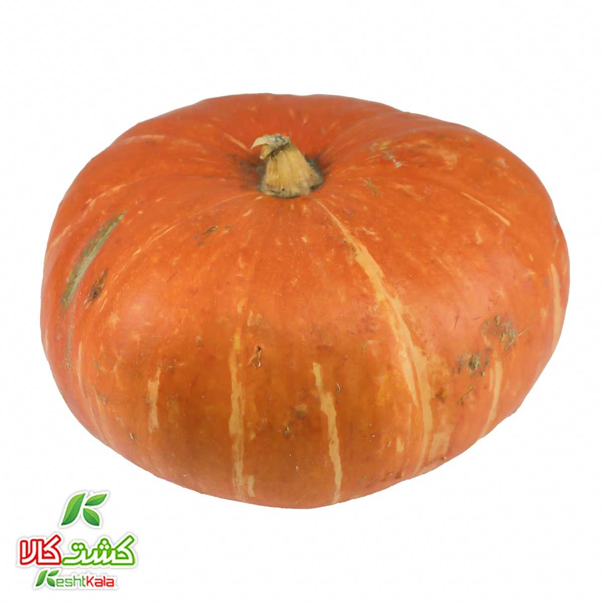 کدو تنبل کشت کالا وزن تقریبی 2 تا 3.5 کیلوگرمی