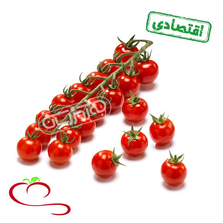 گوجه خوشه ای اقتصادی مزرعه ارگانیک