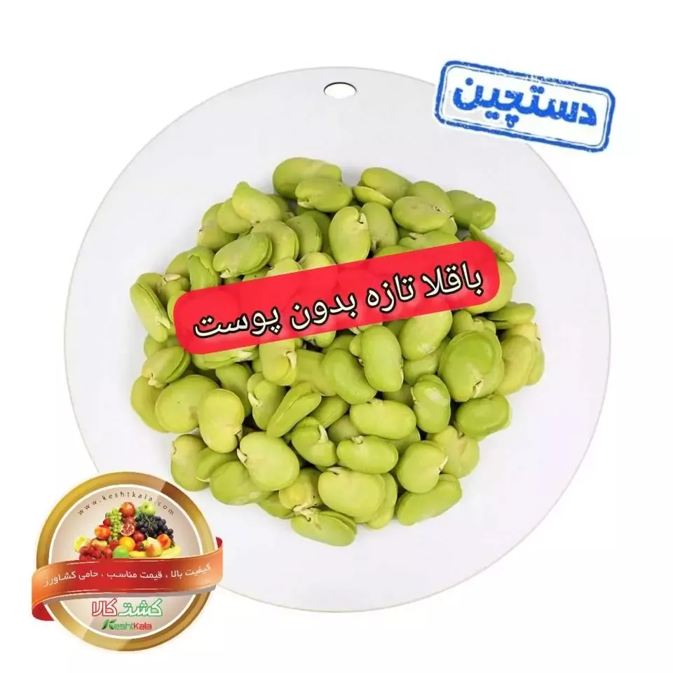 باقالا تازه پاک شده کشت کالا 500 گرمی