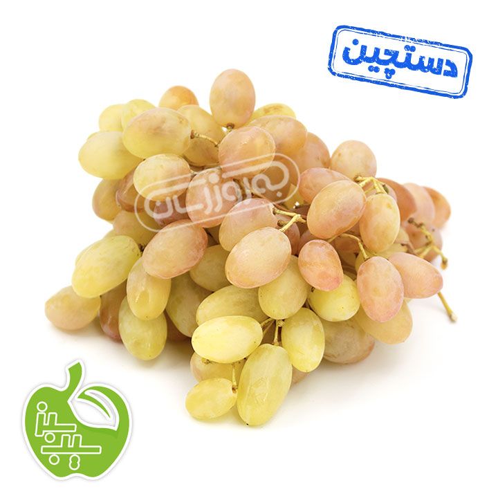 انگور شاهرودی دستچین برند سیب سبز