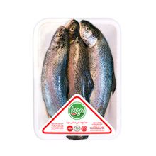 ماهی قزل آلا  شکم خالی مهیا پروتئین 1 کیلوگرمی