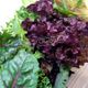 میکس ویژه سبزیجات سالادی مدیترانه ای برند مزرعه ارگانیک 240 گرمی