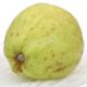میوه گوا سبز تایلندی کشاورزی رضوانی 1 کیلوگرمی