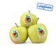 سیب زرد دستچین ایران میوه 1 کیلوگرمی