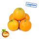 پرتقال کوهستانی دستچین هایپر میوه نارمک