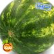 هندوانه کوچک دستچین هایپر میوه نارمک وزن حدود 4 تا 6 کیلوگرم