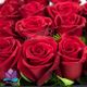 باکس گل مخروطی رز هلندی قرمز جزیره گل