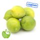 لیمو سنگی دستچین برند سیب سبز