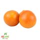 پرتقال خونی کشت کالا کیسه ای 5 کیلوگرمی