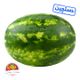 هندوانه بزرگ دستچین سوپر میوه تک وزن تقریبی بین 8 تا 11 کیلوگرمی