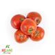 گوجه فرنگی کشت کالا کیسه ای 5 کیلوگرمی