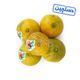 نارنگی دستچین ایران میوه 1 کیلوگرمی