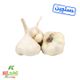 سیر خشک دستچین کشت کالا کیسه ای 3 کیلویی