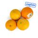پرتقال دستچین ایران میوه