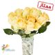 20 شاخه رز هلندی پیچ اولانچ ممتاز مسیحا
