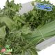 سبزی پلو پاک شده دستچین کشت کالا 1 کیلوگرمی