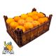 پرتقال درهم سبدی باغ فدک وزن تقریبی بین 6 تا 8 کیلوگرمی