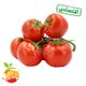 گوجه فرنگی اقتصادی باغ داریوش