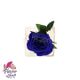 گل رز جاودان آبی به همراه ساقه و خزه فلاورشاپ تک شاخه ای