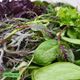 میکس سبزیجات ویژه سالادی مدیترانه ای برند مزرعه ارگانیک 500 گرمی
