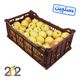 سیب زرد دستچین سبدی برند 202 وزن حدود 7 تا 8 کیلوگرم