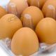 پک 9 عددی تخم مرغ قهوه ای غزال چمن