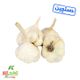 سیر خشک دستچین کشت کالا کیسه ای 3 کیلویی